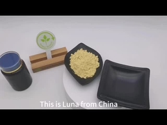 Hücre duvarı kırılmış çam polen tozu