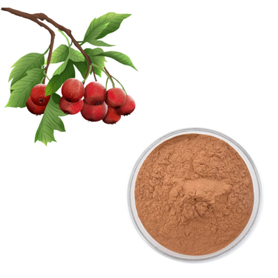 Alıç Berry Özü Flavonlar% 80 Toz Crataegus Yaprağı Ekstresi
