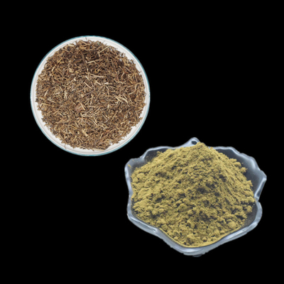 Vücut Geliştirme İçin Saf Ajuga Turkestanica Özü% 2% 10 Türkesteron Tozu Kullanımı