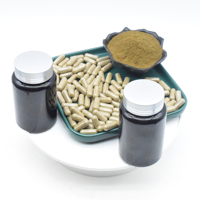 OEM Ajuga Turkestanica Özü Tozu% 2% 10 500mg Türkesteron Kapsülleri