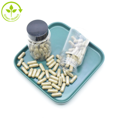 Saf Ajuga Turkestanica Özü Takviyesi %2 %10 %40 500mg Turkesteron Kapsülleri