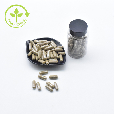 Fabrika Toptan Saf Turkesterone 40% Toz Özel Etiket Ajuga Turkesterone Kapsül 500mg