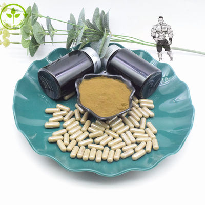 Saf %10 %40 Türkesteron Özü Tozu 800mg 1000mg Türkesteron Kapsülleri
