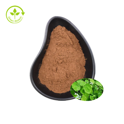 Epimedium Özü %98 Icaritin Bal Keçi Otu Özü %98 Icaritin