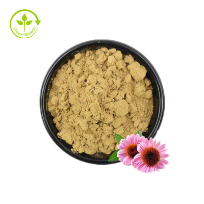 Ekinezya Özü/Dökme Ekinezya Purpurea Özü/Echinacea Özü %4 Polifenoller