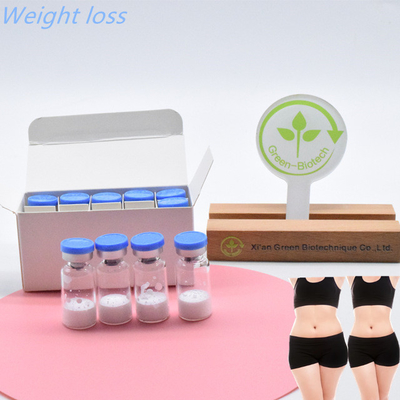 En Kaliteli Enjekte Derecesi  Semaglutide Beden Yapımı İçin
