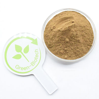 Yüksek Kalite Toplu Saf Doğal Dendrobium Ekstraksi Dendrobin Tozu