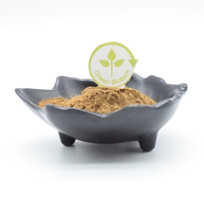 Vücut Geliştirme Ajuga Turkestanica Özü Tozu Bitki Özü Tozu 500mg 750mg 1000mg
