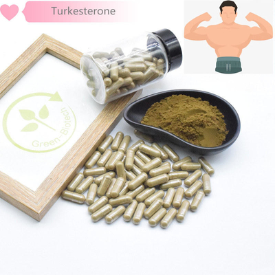 500mg Turkestanica Doğal Bitki Özleri
