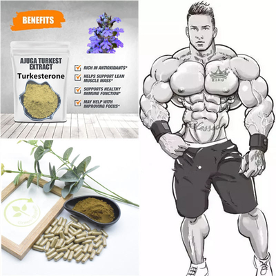 500mg Turkestanica Doğal Bitki Özleri