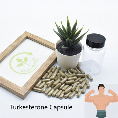 %2 %10 Ajuga Turkestanica Takviyeleri Ecdysteroid Doğal Bitki Özleri