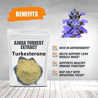 %2 %10 Ajuga Turkestanica Takviyeleri Ecdysteroid Doğal Bitki Özleri