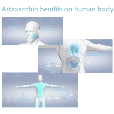 Sağlıklı Bakım İçin CAS 7542-45-2 %1 - %10 Astaksantin Tozu