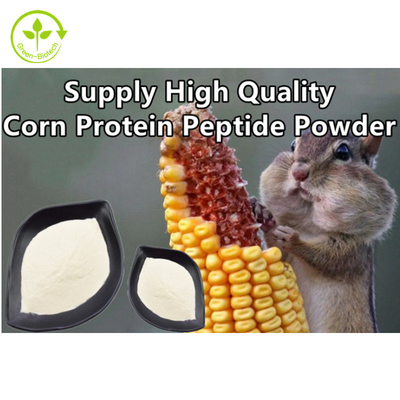 Bitki Özü Mısır protein peptidi Desteği Yüksek kaliteli doğal Mısır peptid tozu