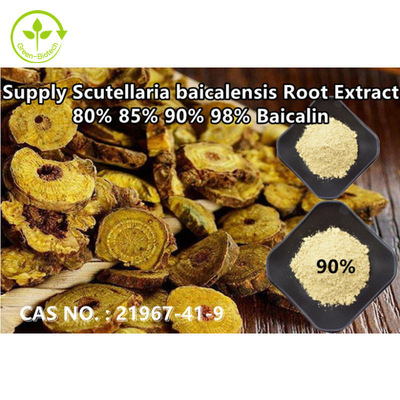 Green Biotech Supply Yüksek Saflıkta Baical Takke Özü Baicalin %80 %85 %90 %98 CAS NO.:21967-41-9