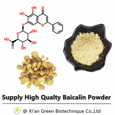 Green Biotech Supply Yüksek Saflıkta Baical Takke Özü Baicalin %80 %85 %90 %98 CAS NO.:21967-41-9