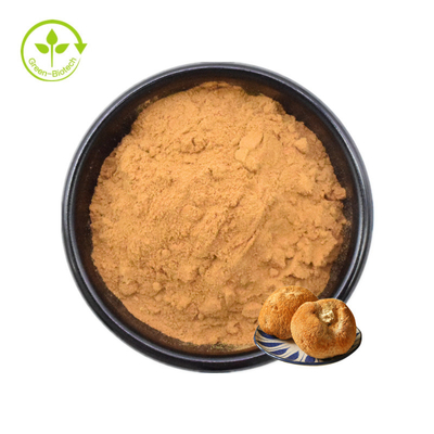 Lions Mane Miselyum Özü Hericium Erinaceus Mantar Tozu 30%