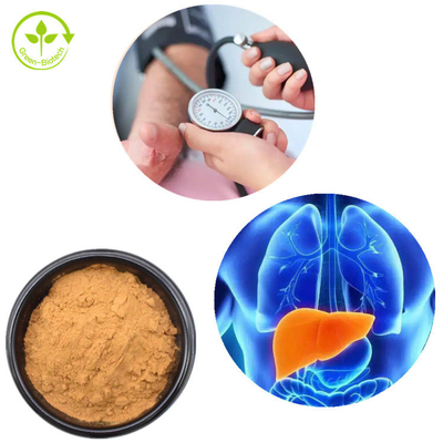 Lions Mane Miselyum Özü Hericium Erinaceus Mantar Tozu 30%