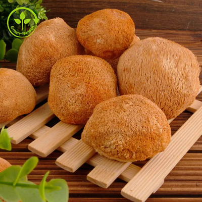 Lions Mane Miselyum Özü Hericium Erinaceus Mantar Tozu 30%