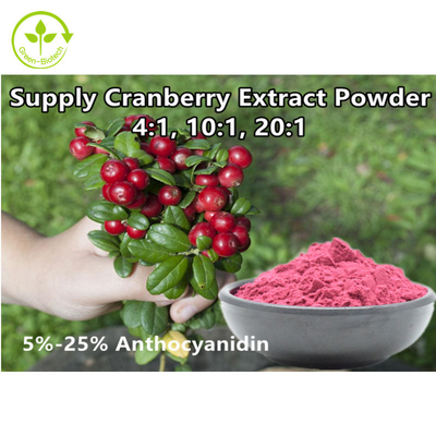 Organik 4:1 Kızılcık Özü Tozu Antosiyanidin 25% Kızılcık Meyve Özü/ Vaccinium Macrocarpon