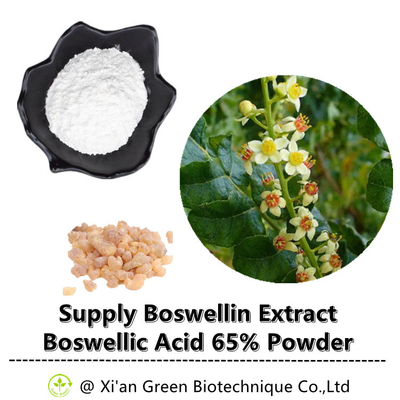 Buhur Ağacı Boswellin Özü Boswellic Asit% 65 Toz