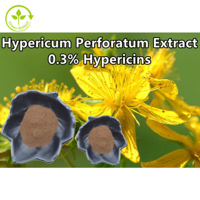 Hypericum Perforatum Özü% 0.3 Hiperisin St Johns Wort Özü Tozu