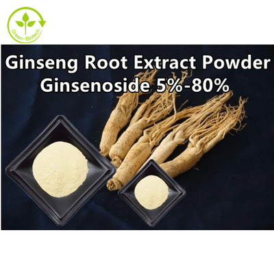 Bitkisel Ginseng Kökü Ekstresi Tozu Ginsenoside %5 - %80