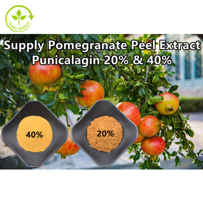 Saf Doğal Nar Özü Tozu Punicalagin CAS 65995-63-3