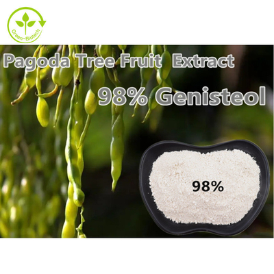%98 Genistein Fructus Sophorae Bitki Özü Tozu Nepeta Japonica Maxim