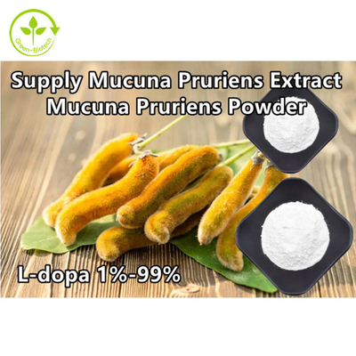 Bitki Mucuna Pruriens Özü% 98% 99 L-Dopa Tozu