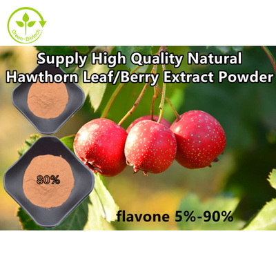 Alıç Berry Özü Flavonlar% 80 Toz Crataegus Yaprağı Ekstresi