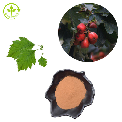Alıç Berry Özü Flavonlar% 80 Toz Crataegus Yaprağı Ekstresi