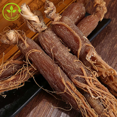 Gıda Sınıfı Doğal Kore Kırmızı Ginseng Tozu Kırmızı Ginseng Kökü Ekstresi Tozu