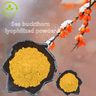 Bitki Özü Fructus Hippophae Deniz Cehri Yağı Hippophae Rhamnoides Yağı