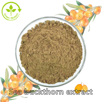 Bitki Özü Fructus Hippophae Deniz Cehri Yağı Hippophae Rhamnoides Yağı