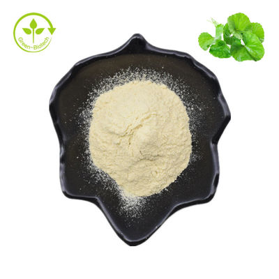 Hydrocotyle Asiatica / Centella Asiatica / Gotu Kola Ekstresi 70% Asiaticoside Tozu
