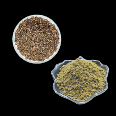 Ajuga Turkestanica Özü Bitkisel Özü tozu Türkesteron Tozu Takviyeler %2 %10 %20