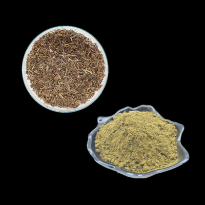 Ajuga Turkestanica Özü Türkesteron %2 %3 %4 %10 Vücut Geliştirme İçin Toz