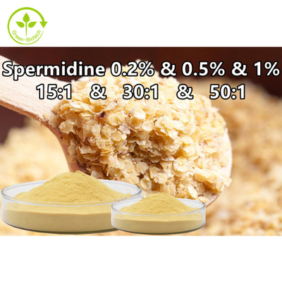 Buğday Ruşeymi Özlü Spermin Toz Takviye Edici Gıda Spermidin %0,1 %0,5 %1