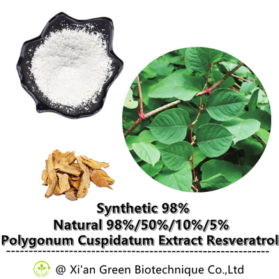 %99 Trans-Resveratrol Toz Polygonum Cuspidatum Kök Ekstresi