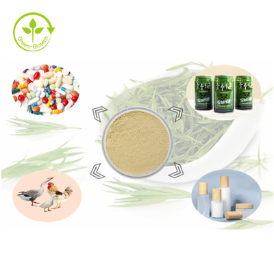 Flavonoid %24 Toz %100 Doğal Bitki Bambu Yaprağı Ekstresi Tozu