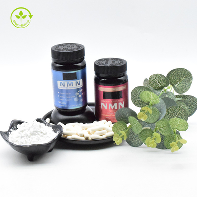 Oem 500mg Nmn Takviyeler Yaşlanma Karşıtı Nmn Kapsül