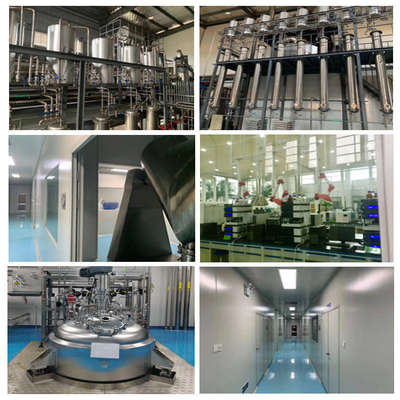 Sağlıklı Ürün İçin Soya Fasulyesi Özü Stigmasterol Tozu% 95 83-48-7