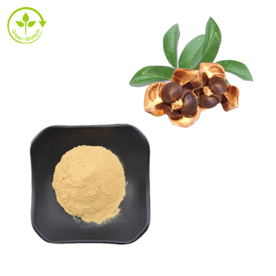 CAS 8047-15-2 Doğal Bitki Özleri% 80 Çay Tohumu Saponin Tozu