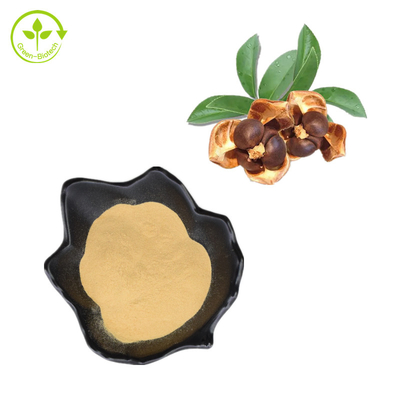 CAS 8047-15-2 Doğal Bitki Özleri% 80 Çay Tohumu Saponin Tozu