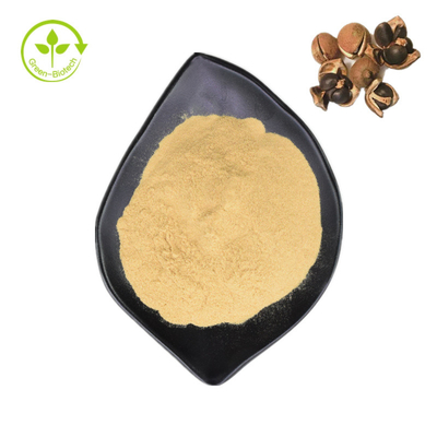 Gıda için Doğal Kamelya Sinensis Tohum Özü% 98 Çay Saponin