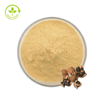 Gıda için Doğal Kamelya Sinensis Tohum Özü% 98 Çay Saponin