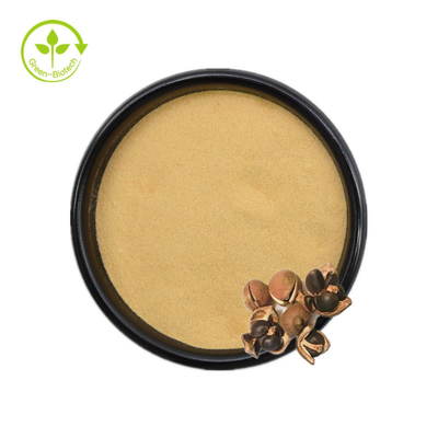Camellia Sinensis Tohum Özü Çay Saponin Tozu %50 %60 %70 %80 %85 %90 %95 %98