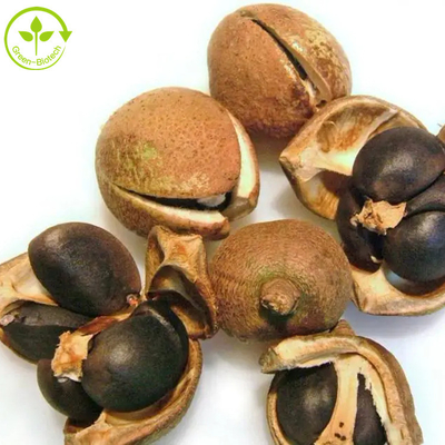 Camellia Sinensis Tohum Özü Çay Saponin Tozu %50 %60 %70 %80 %85 %90 %95 %98