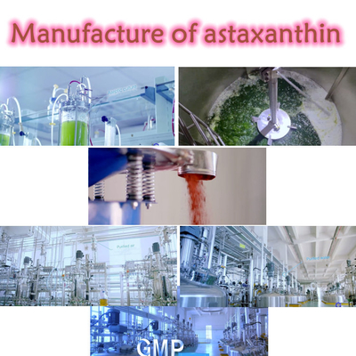 Antioksidan Haematococcus Pluvialis Özü% 10 Astaksantin Tozu Takviyeleri